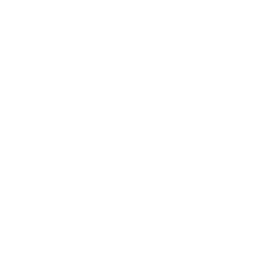 LiveScore11 LiveScore11
