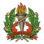 پیویوی پیویوی