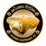 Young Elephant Young Elephant