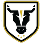 Bulls Academy Bulls Academy