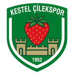 Kestel Çilek Kestel Çilek