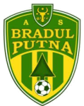 Bradul Putna Bradul Putna